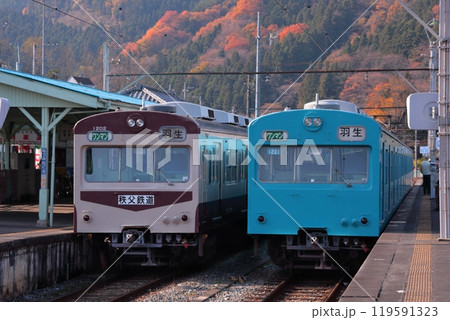 紅葉が美しい秋の三峰口に停車中の元国鉄101系の秩父鉄道1000系電車_2009/11/29撮影 紅葉が美しい秋の三峰口に停車中の元国鉄101系の秩父鉄道1000系電車_2009/11/29撮影 119591323