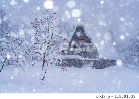 【世界遺産】豪雪の白川郷【岐阜県】 119591339