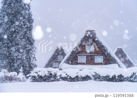 【世界遺産】豪雪の白川郷・三連合掌【岐阜県】 119591388