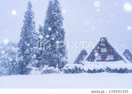 【世界遺産】豪雪の白川郷・三連合掌【岐阜県】 119591391