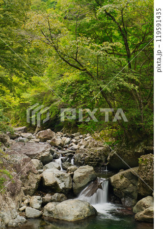 新緑・紅葉・川遊び関西おすすめ観光地 119591435