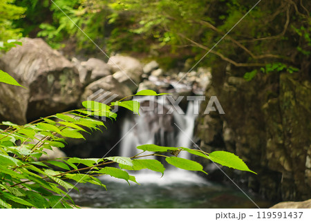 新緑・紅葉・川遊び関西おすすめ観光地 新緑・紅葉・川遊び関西おすすめ観光地 119591437