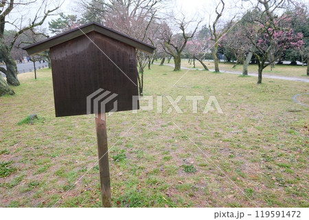 春の枇杷殿跡の史跡 119591472