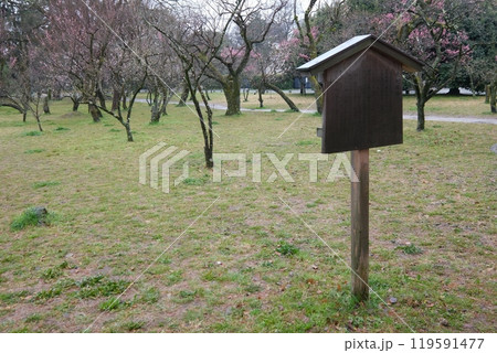 春の枇杷殿跡の史跡 119591477