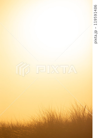 Golden Sunrise Over an Expansive Grassy Landscape Filled with Natural Beauty and Serenity Golden Sunrise Over an Expansive Grassy Landscape Filled with Natural Beauty and Serenity 119591486
