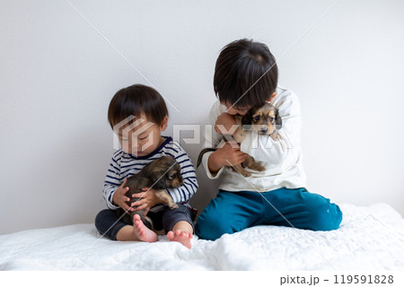 愛犬と遊ぶ子供達 ダックスフンド 仔犬 愛犬と遊ぶ子供達 ダックスフンド 仔犬 119591828