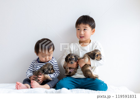 愛犬と遊ぶ子供達　ダックスフンド　仔犬 119591831