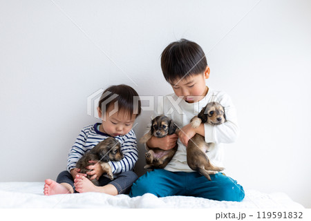 愛犬と遊ぶ子供達 ダックスフンド 仔犬 愛犬と遊ぶ子供達 ダックスフンド 仔犬 119591832