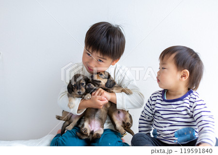 愛犬と遊ぶ子供達　ダックスフンド　仔犬 119591840