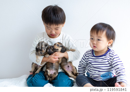 愛犬と遊ぶ子供達　ダックスフンド　仔犬 119591841