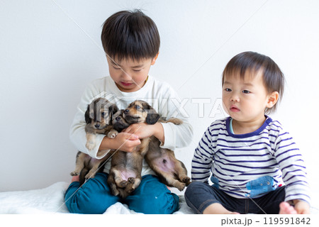 愛犬と遊ぶ子供達　ダックスフンド　仔犬 119591842