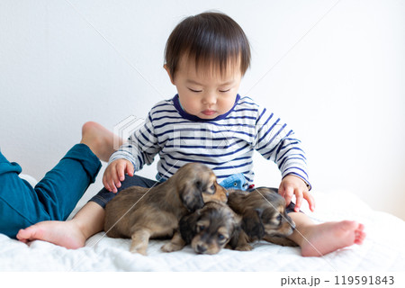 愛犬と遊ぶ子供達　ダックスフンド　仔犬 119591843