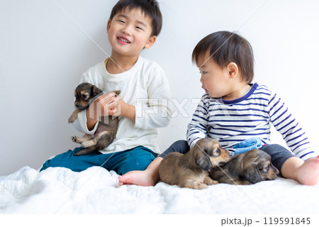 愛犬と遊ぶ子供達　ダックスフンド　仔犬 119591845