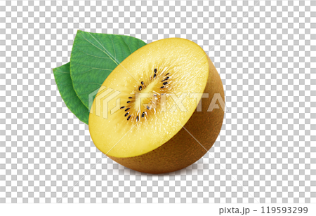 金色獼猴桃插畫現實白色背景 119593299