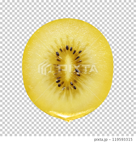 ゴールドキウイのイラスト リアル 白バック 119593315