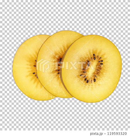 ゴールドキウイのイラスト リアル 白バック 119593320