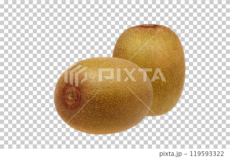 Gold kiwi illustration realistic white background Gold kiwi illustration realistic white background 119593322