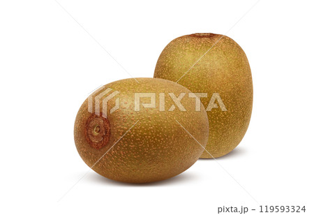 ゴールドキウイのイラスト リアル 白バック ゴールドキウイのイラスト リアル 白バック 119593324