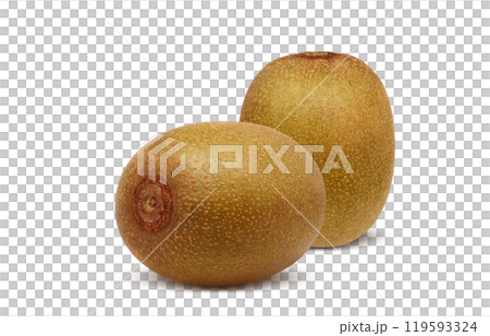 ゴールドキウイのイラスト リアル 白バック ゴールドキウイのイラスト リアル 白バック 119593324