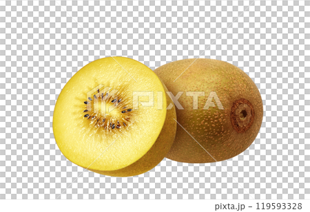 Gold kiwi illustration realistic white background 119593328