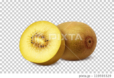 Gold kiwi illustration realistic white background Gold kiwi illustration realistic white background 119593329