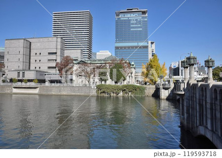 紅葉の御堂筋　秋晴れの淀屋橋 119593718