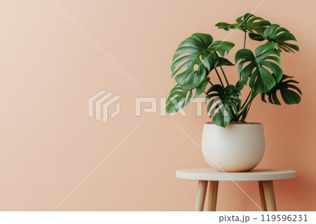 Indoor monstera plant displayed on a round table against a gray wall, creating a calming atmosphere Indoor monstera plant displayed on a round table against a gray wall, creating a calming atmosphere 119596231