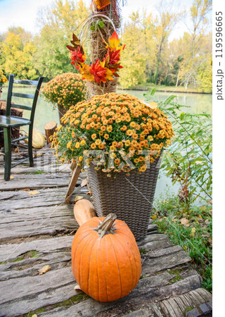 Autumn Halloween pumpkin decorations in a park background 119596665