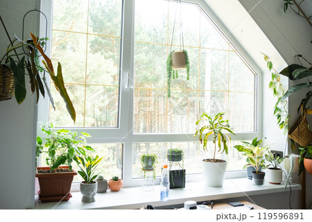 Window cleaning products are lying on the windowsill with a rag, spray, detergent, a robot cleaner. Spring cleaning in the house, cleaning service Window cleaning products are lying on the windowsill with a rag, spray, detergent, a robot cleaner. Spring cleaning in the house, cleaning service 119596891