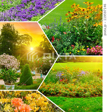 Flowerbeds in gardens and parks. Collage. Flowerbeds in gardens and parks. Collage. 119597146