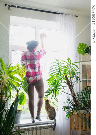 Woman manually washes the window of the house with rag cleaner and mop inside the interior with white curtains and home plants. Restoring order and cleanliness in the spring, cleaning servise Woman manually washes the window of the house with rag cleaner and mop inside the interior with white curtains and home plants. Restoring order and cleanliness in the spring, cleaning servise 119597476