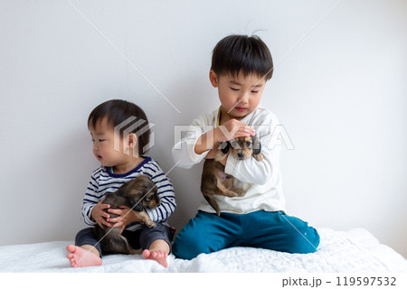 愛犬と遊ぶ子供達 ダックスフンド 仔犬 愛犬と遊ぶ子供達 ダックスフンド 仔犬 119597532