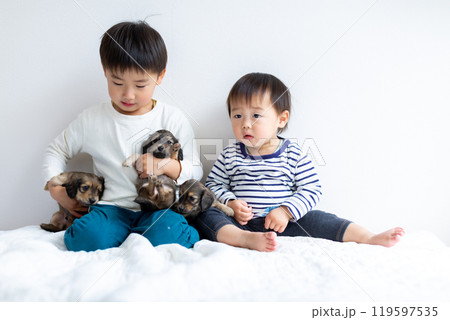 愛犬と遊ぶ子供達 ダックスフンド 仔犬 愛犬と遊ぶ子供達 ダックスフンド 仔犬 119597535
