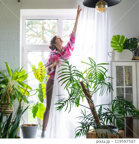 Woman hangs transparent tulle curtains on large windows in the house inside the interior. Spring cleaning, tidying up Woman hangs transparent tulle curtains on large windows in the house inside the interior. Spring cleaning, tidying up 119597587