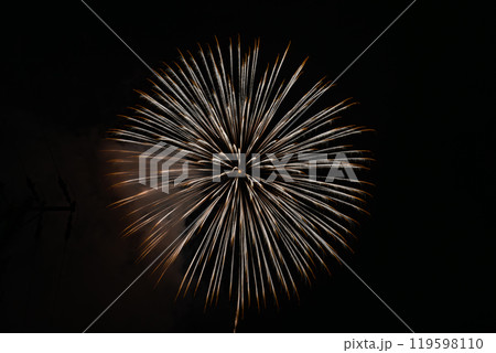 浜松市の佐久間祭り花火大会の夜空に咲く花火(静岡県) 119598110