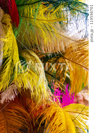 Feathers used in carnival costumes in Brazil 119598701