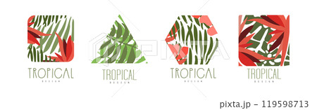 Tropical Design with Shape and Jungle Foliage Vector Set 119598713