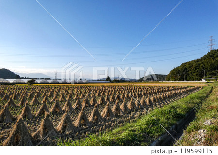 秋晴れの中、岩手県玉山地区の刈り入れと稲の乾燥 119599115
