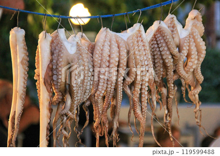 Fresh Octopus hanging up to dry 119599488