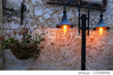 Vintage streetlight and hanging flower pot 119599496