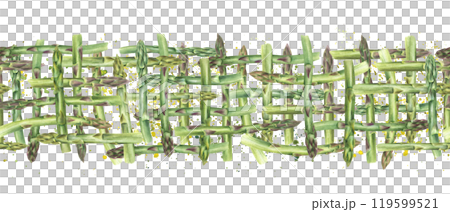 Spring green asparagus weave seamless pattern in realistic style on watercolor splashes. Intertwined fresh vegetable stems illustration. For dish presentations, menu, kitchen textile decor 119599521