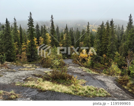 Exploring the serene Volosyanaya mountain in Kandalaksha, Kola Peninsula during autumn's misty beauty Exploring the serene Volosyanaya mountain in Kandalaksha, Kola Peninsula during autumn's misty beauty 119599903