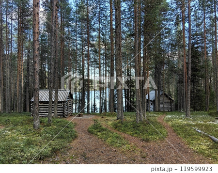 Explore the serene trails and rustic cabins in Paanajarvi National Park, Karelia, surrounded by towering pines Explore the serene trails and rustic cabins in Paanajarvi National Park, Karelia, surrounded by towering pines 119599923
