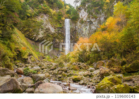 平湯大滝の秋（奥飛騨温泉郷・平湯温泉） 119600143