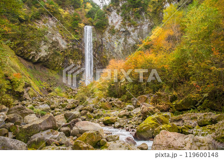 平湯大滝の秋(奥飛騨温泉郷・平湯温泉) 平湯大滝の秋(奥飛騨温泉郷・平湯温泉) 119600148