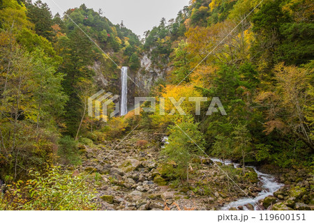 平湯大滝の秋（奥飛騨温泉郷・平湯温泉） 119600151