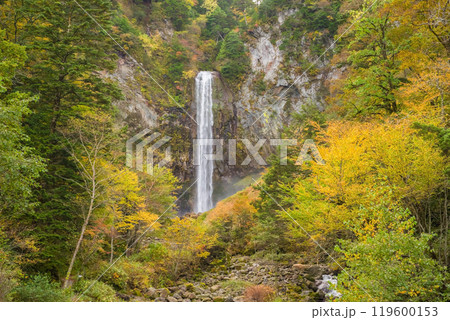 平湯大滝の秋（奥飛騨温泉郷・平湯温泉） 119600153