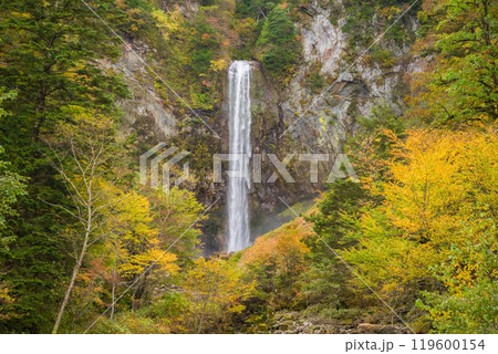 平湯大滝の秋（奥飛騨温泉郷・平湯温泉） 119600154