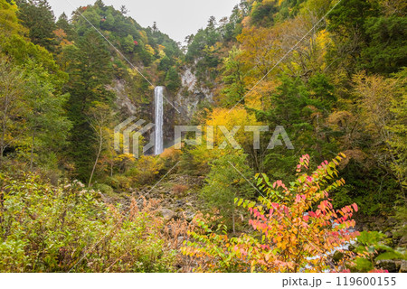 平湯大滝の秋(奥飛騨温泉郷・平湯温泉) 平湯大滝の秋(奥飛騨温泉郷・平湯温泉) 119600155