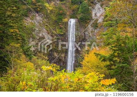 平湯大滝の秋（奥飛騨温泉郷・平湯温泉） 119600156